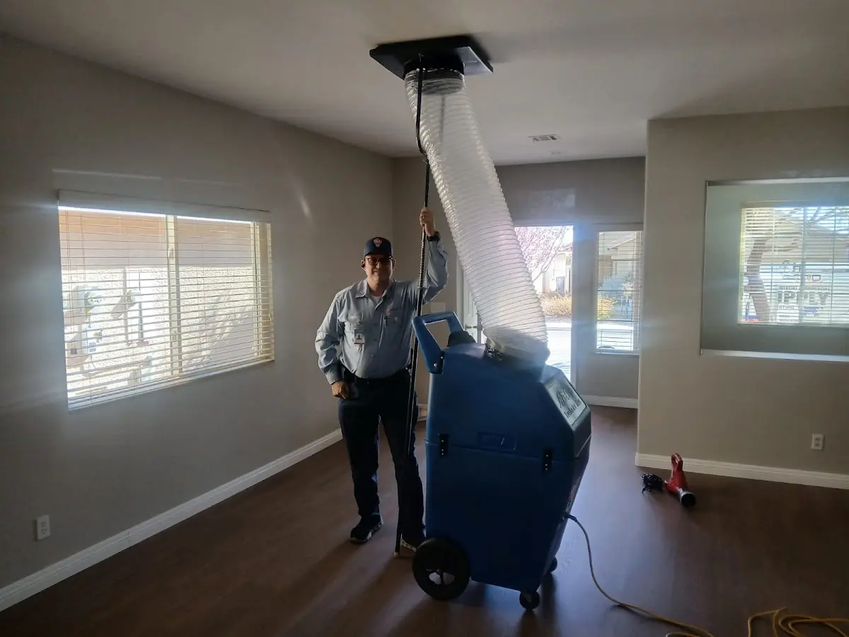Professional Dryer Vent Cleaning work inside a Alexandria home